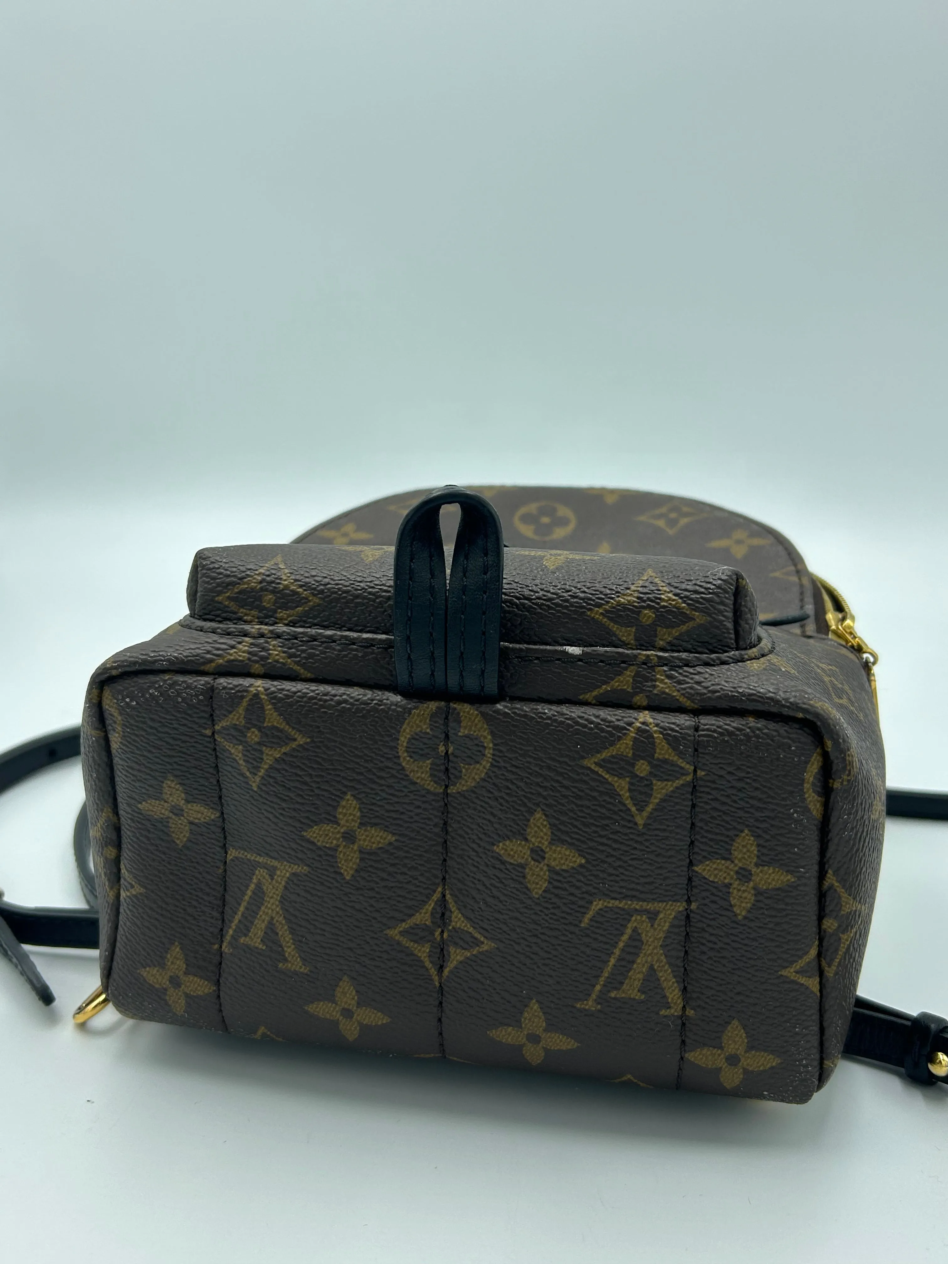 Trendy Inspired Louis Vuitton Palm Springs Mini Backpack