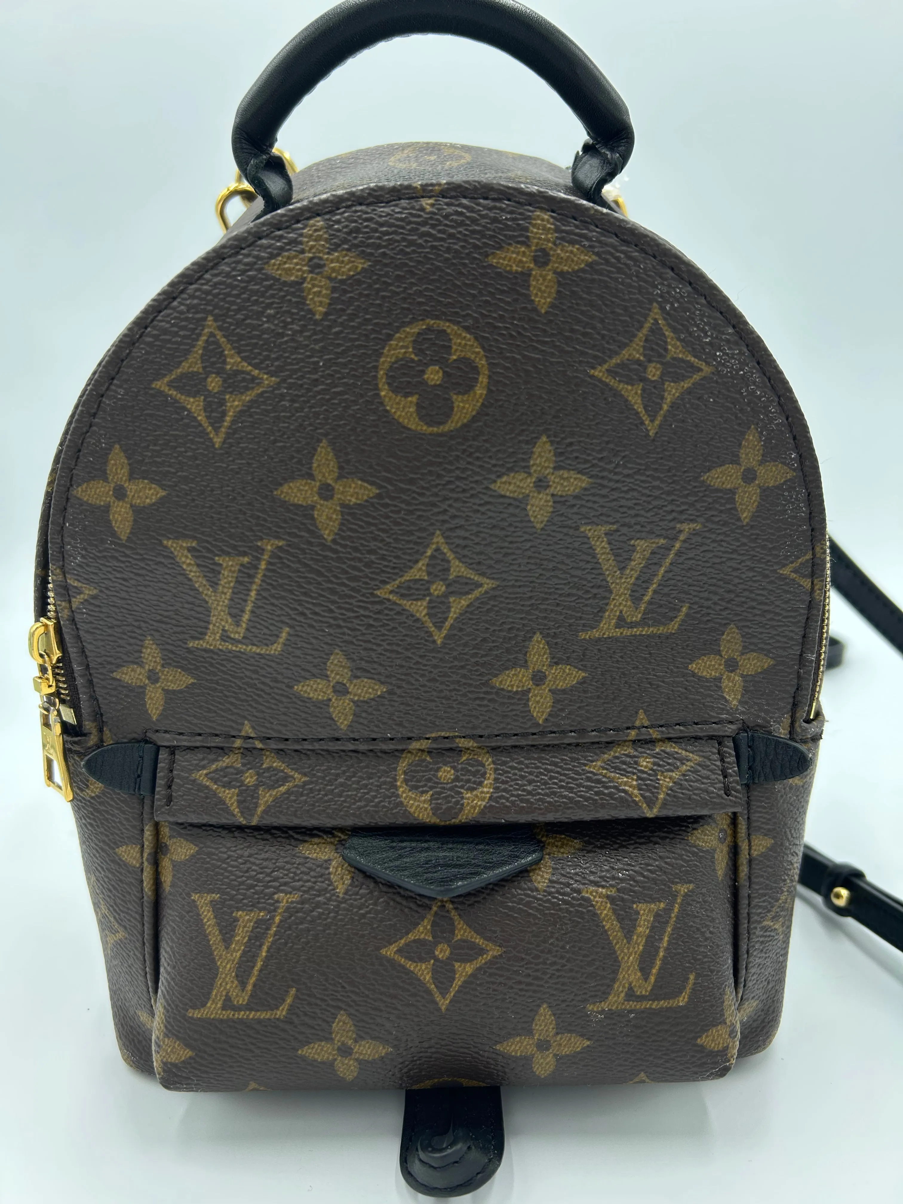 Trendy Inspired Louis Vuitton Palm Springs Mini Backpack