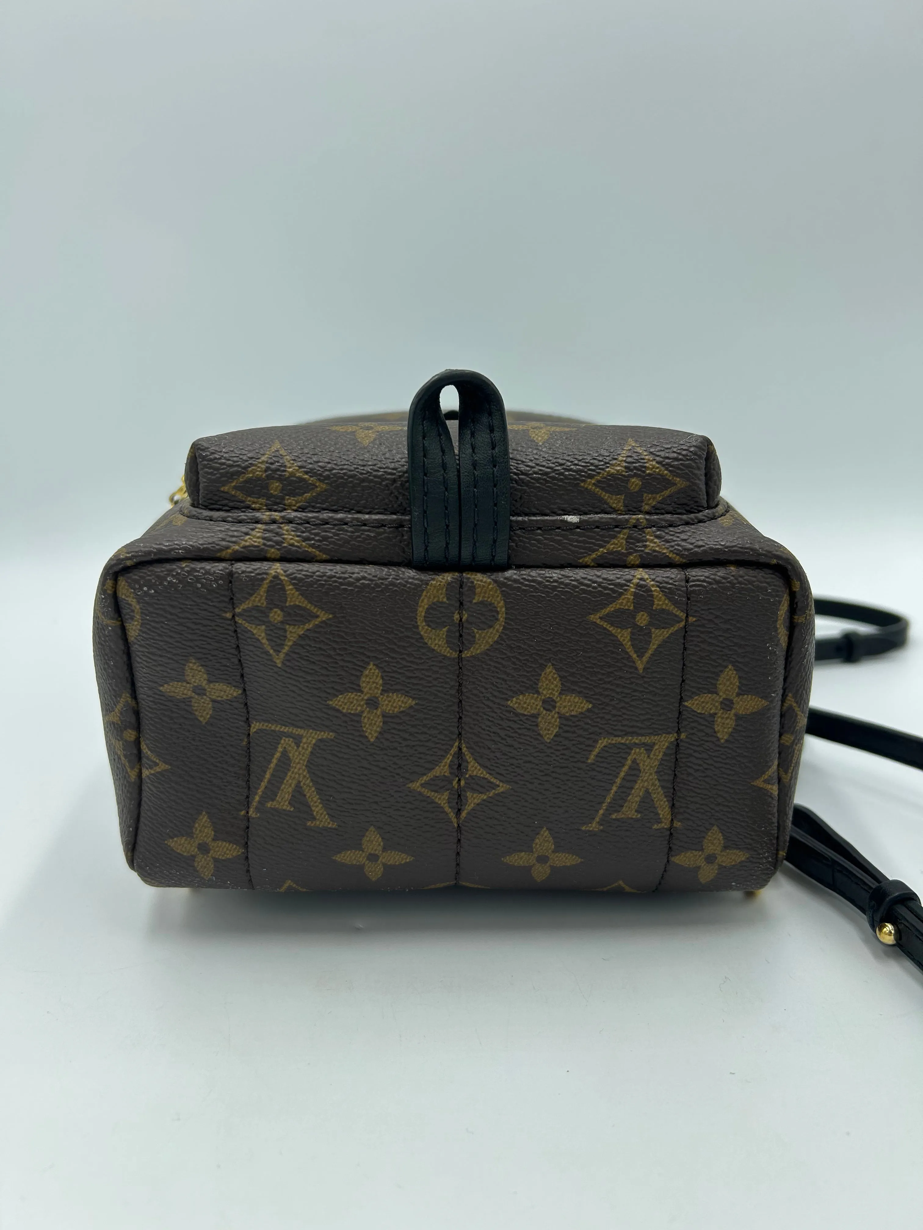 Trendy Inspired Louis Vuitton Palm Springs Mini Backpack