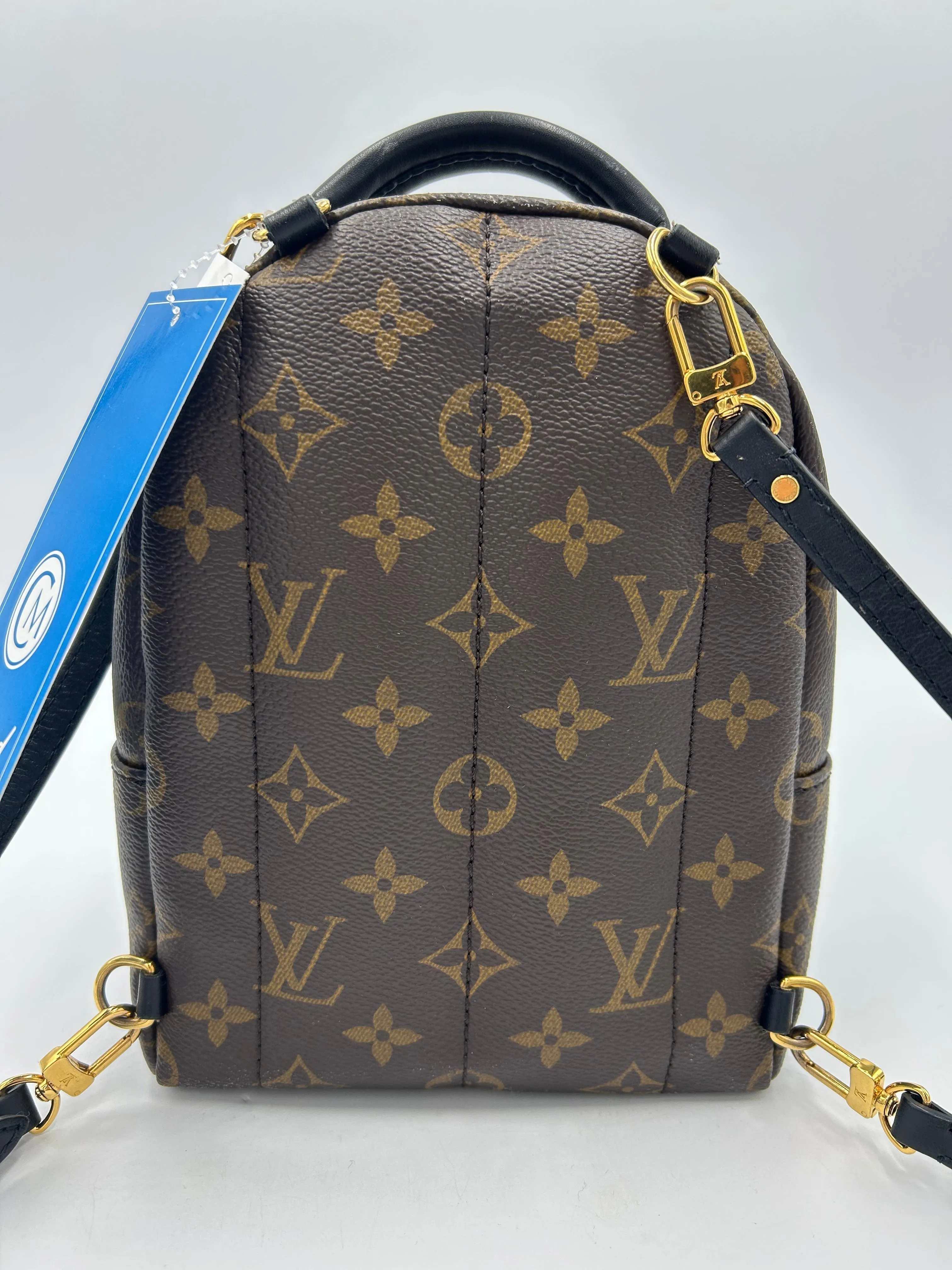 Trendy Inspired Louis Vuitton Palm Springs Mini Backpack