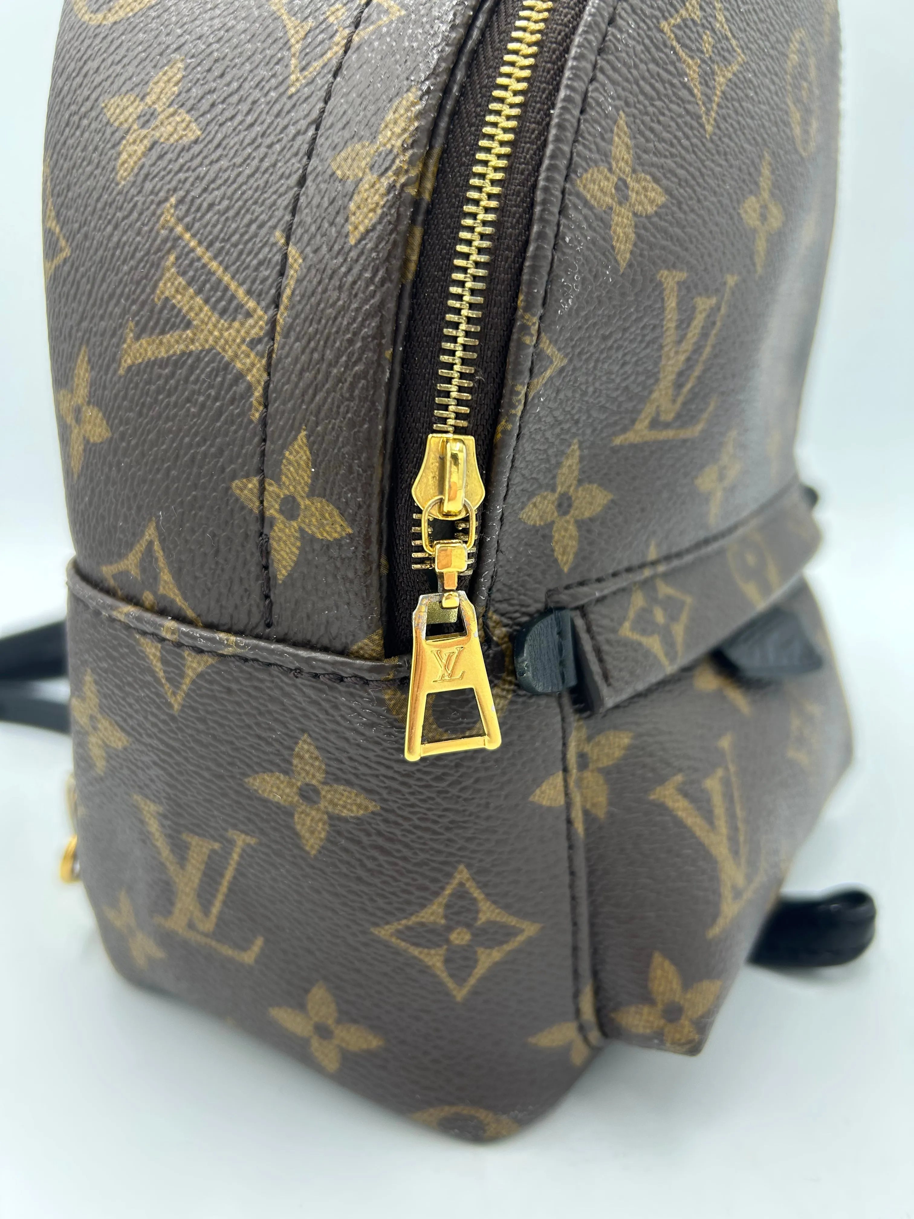 Trendy Inspired Louis Vuitton Palm Springs Mini Backpack