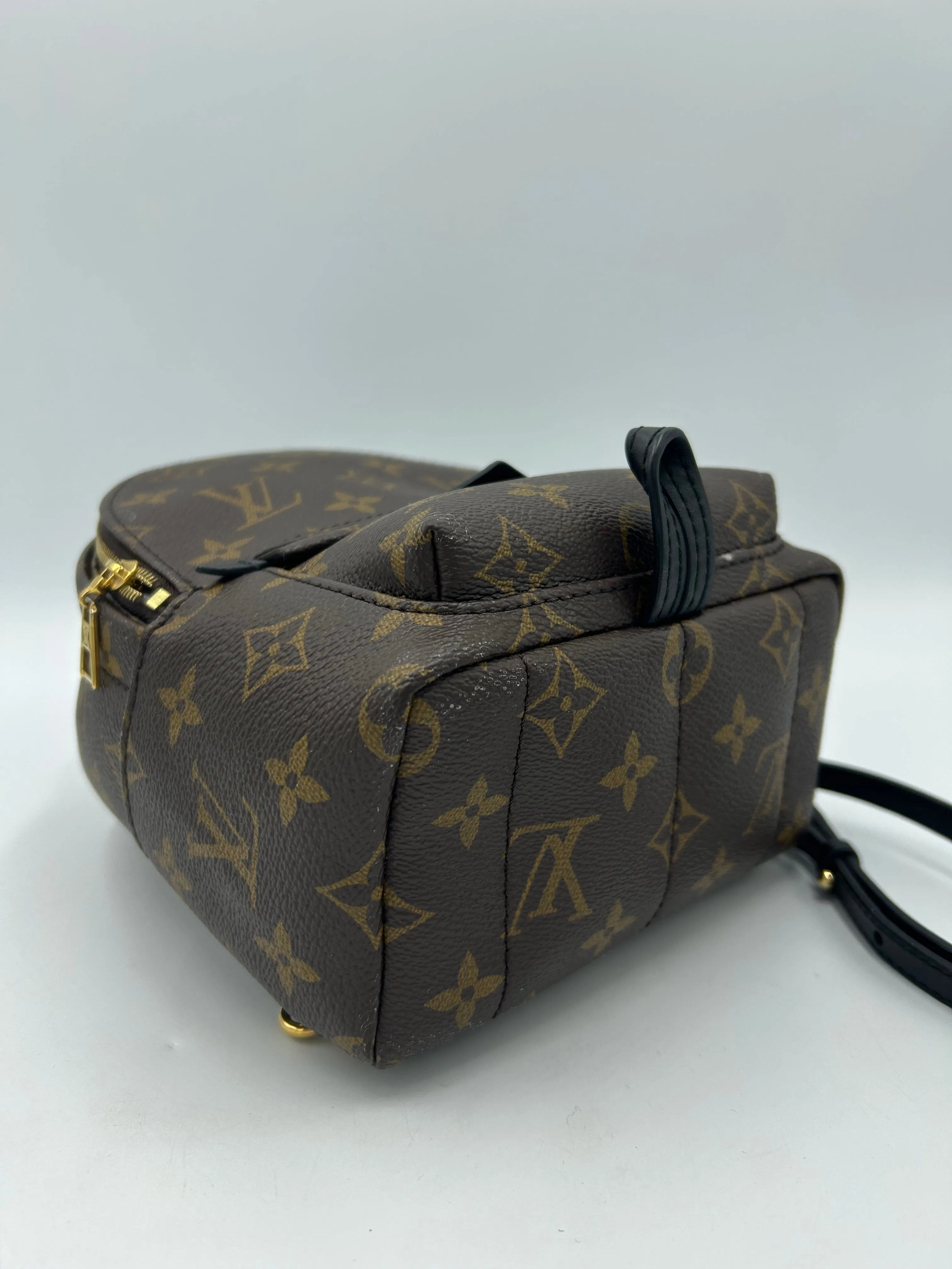 Trendy Inspired Louis Vuitton Palm Springs Mini Backpack