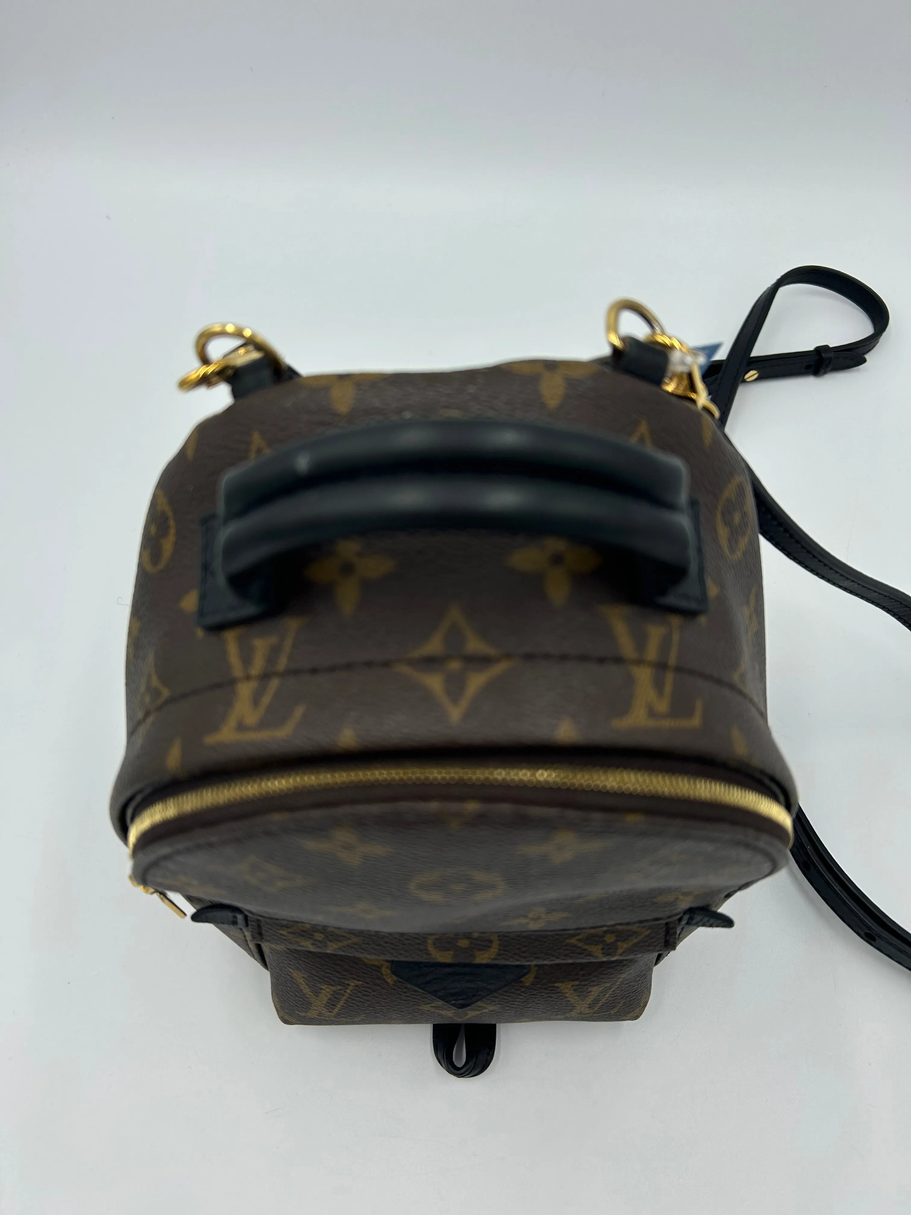 Trendy Inspired Louis Vuitton Palm Springs Mini Backpack