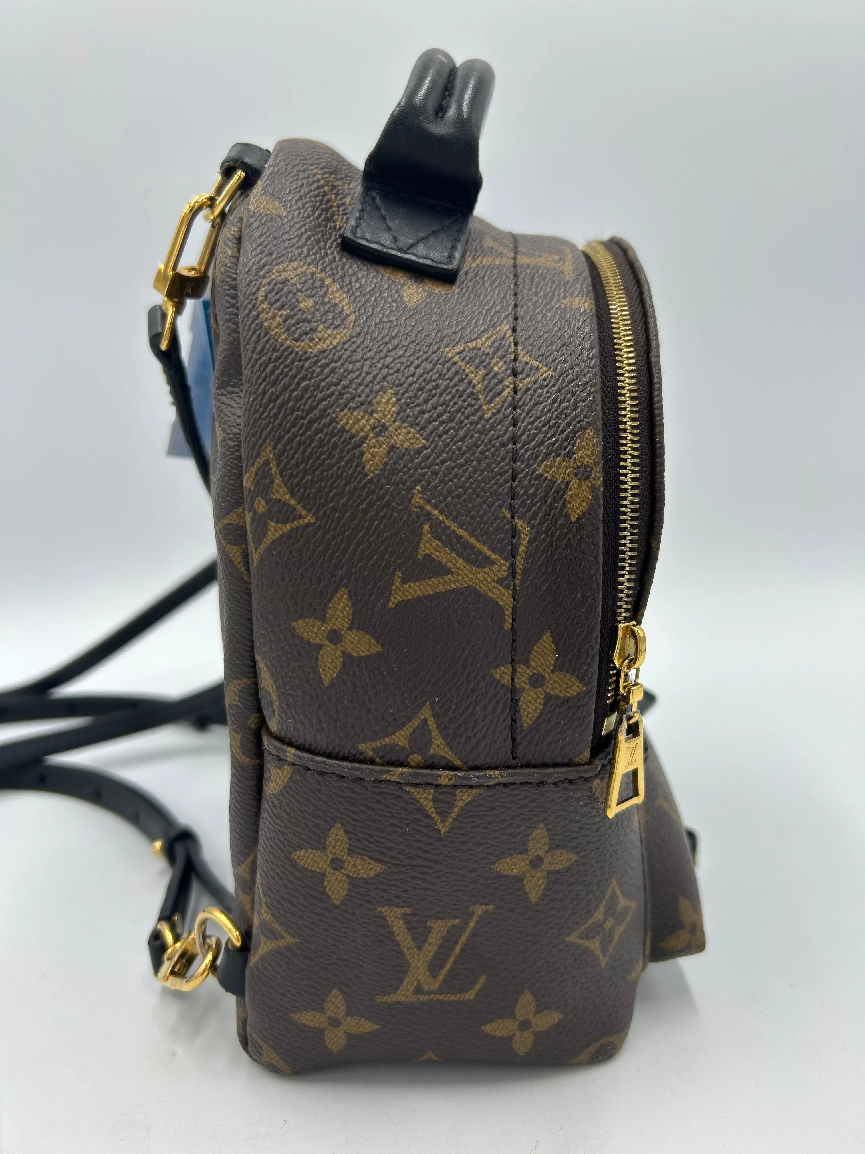 Trendy Inspired Louis Vuitton Palm Springs Mini Backpack